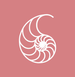 nautilus-icon-pink-background-coach-approach-training-institute